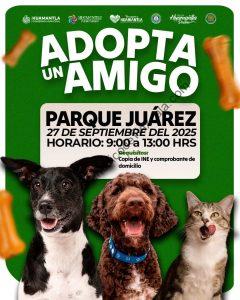 Huamantla invita a la jornada de adopción de perros y gatos en el Parque Juárez