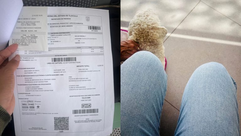 Pagina de un recibo de pago y piernas de una persona sentada con un perro en el suelo.