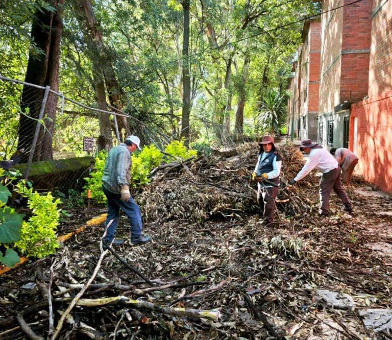 Se continúan atendiendo reportes tras fuertes lluvias en Chiautempan: Blanca Angulo