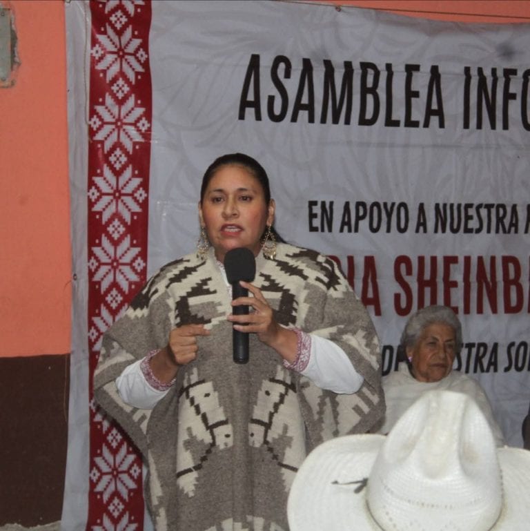Asamblea informativa en apoyo a nuestra comunidad y líderes tradicionales en Tlaxcala. Una mujer con vestimenta tradicional y un micrófono en mano participa en el evento. Al fondo, un cartel y una mujer mayor mirando con atención.