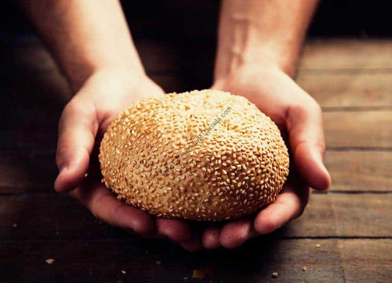 ajonjoli en tlaxcala