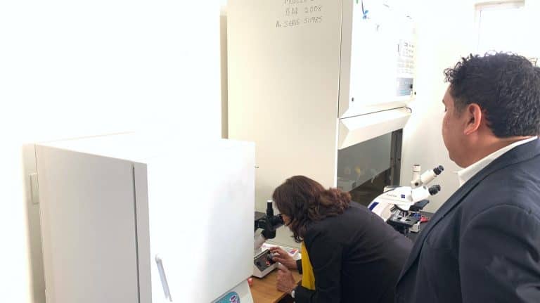 Estudiantes en un laboratorio con microscopios en un ambiente científico, realizando investigaciones o análisis con equipos especializados, en un entorno formal y académico, en un espacio moderno y bien equipado en Tlaxcala, México.