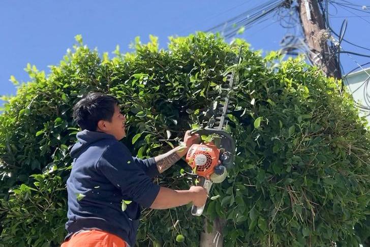Corte de árbol por un joven con desbrozadora en un espacio verde, en un día soleado, con cielo azul de fondo.