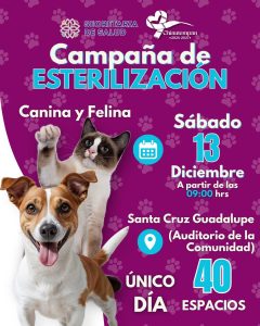 1. Campaña de esterilización para perros y gatos en Santa Cruz Guadalupe, con 40 espacios disponibles, el sábado 13 de diciembre desde las 09:00 hrs en el Auditorio de la Comunidad.