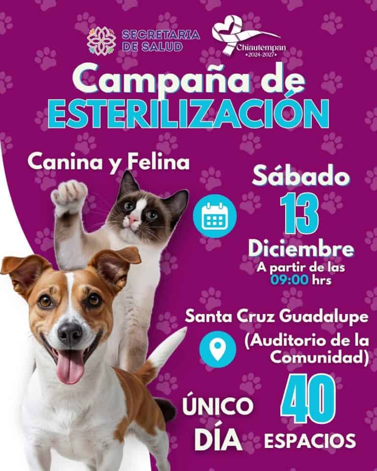 1. Campaña de esterilización para perros y gatos en Santa Cruz Guadalupe, con 40 espacios disponibles, el sábado 13 de diciembre desde las 09:00 hrs en el Auditorio de la Comunidad.