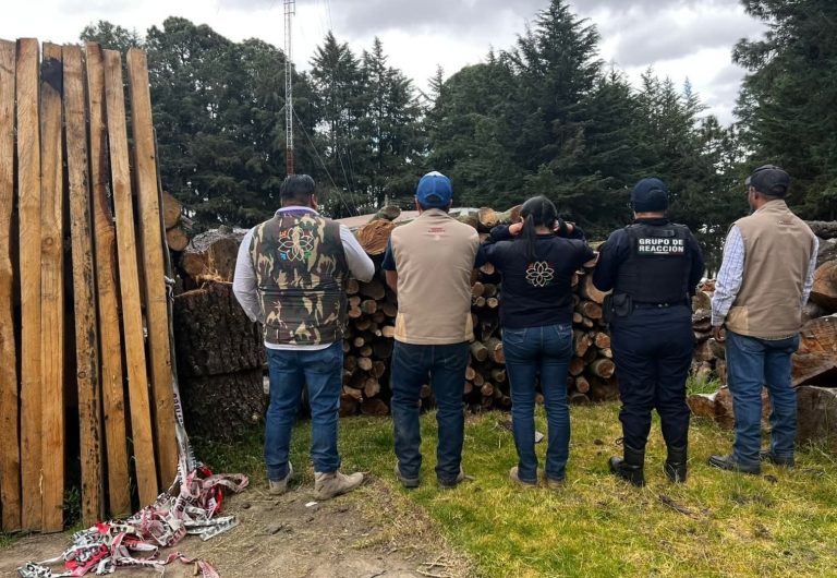 2. Un grupo de autoridades y policías observan una pila de madera, en un área rodeada de árboles, en una escena que parece ser de una inspección o control en un entorno rural o forestal.