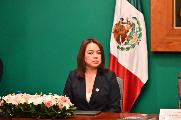 Audaz y seria, la mujer en la imagen muestra determinación en una reunión formal, con la bandera de México de fondo, representando liderazgo en asuntos políticos o institucionales en Tlaxcala, México.