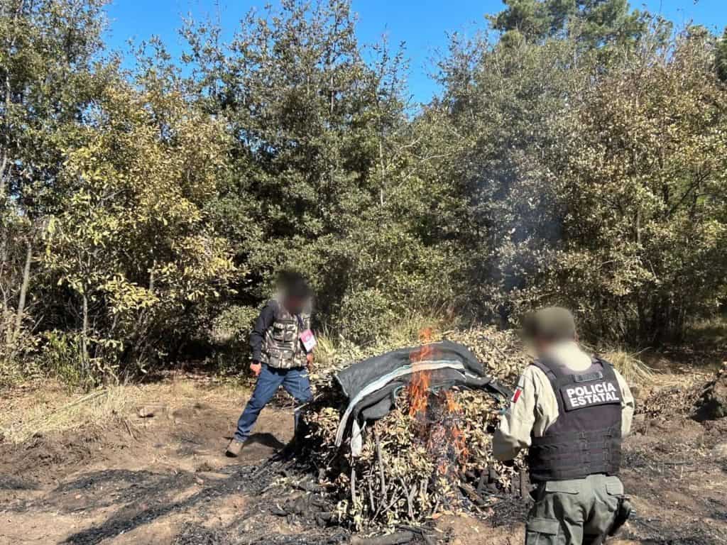 Policía estatal inspecciona un incendio en un área boscosa en Tlaxcala, México, con un fuego aún activo y humo saliendo del montón de ramas y hojas quemadas.