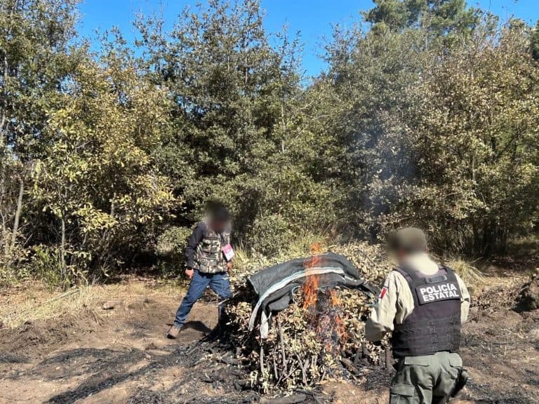 Policía estatal inspecciona un incendio en un área boscosa en Tlaxcala, México, con un fuego aún activo y humo saliendo del montón de ramas y hojas quemadas.