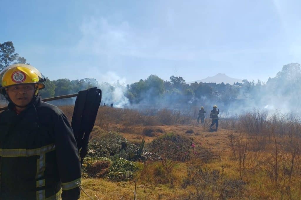 Incendio forestal en un campo con bomberos trabajando para controlarlo en un día soleado.