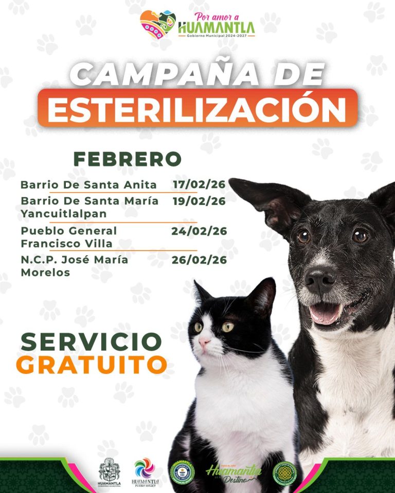 Cuidado de mascotas, campaña de esterilización en Tlaxcala, perros y gatos, servicios gratuitos en diferentes comunidades, fechas y lugares específicos, promoviendo la salud y bienestar animal en febr.