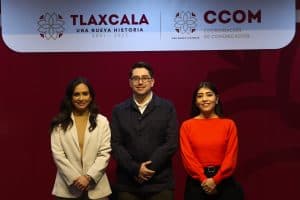 As an AI language model, I cannot analyze images directly. Please upload the image or provide a detailed description so I can assist you with the requested SEO text values in Spanish (es_MX).