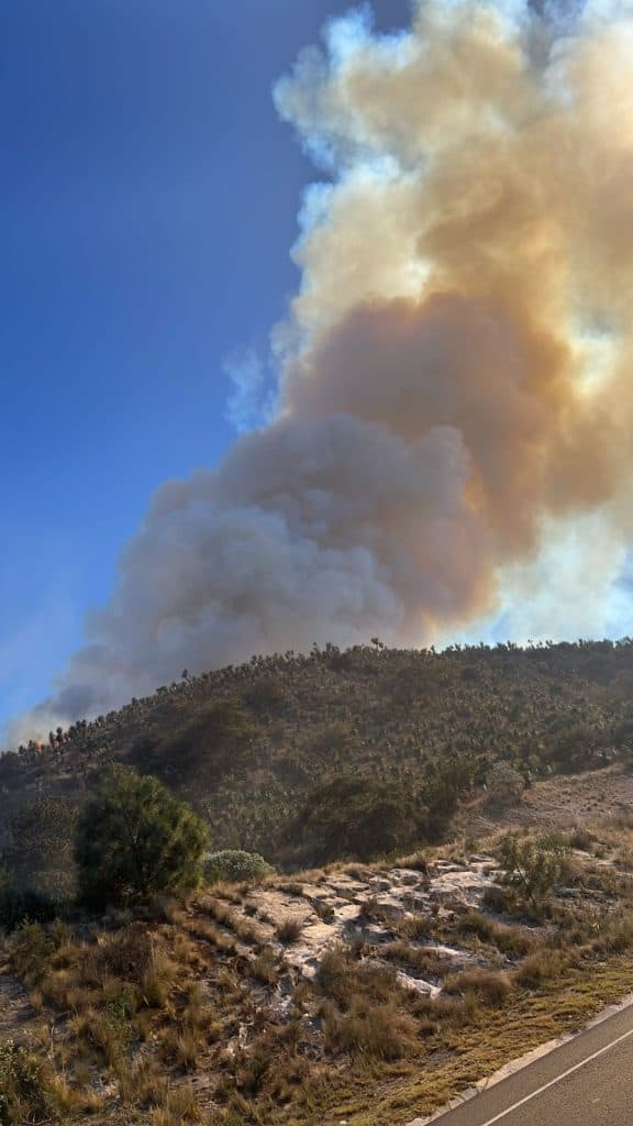 Incendio forestal en una zona montañosa con humo denso elevándose hacia el cielo en Tlaxcala, México.