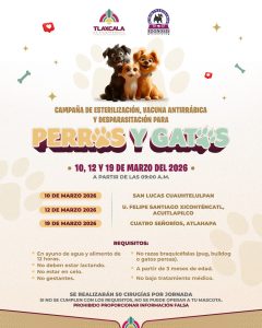Cuidado de mascotas, campaña de esterilización y vacunación antirrábica en Tlaxcala, México, del 10 al 19 de marzo de 2026, en diferentes localidades, para prevenir la sobrepoblación y enfermedades en.