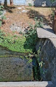Vista de un pequeño canal de agua con vegetación y muro de concreto en un entorno exterior, en Tlaxcala, México.