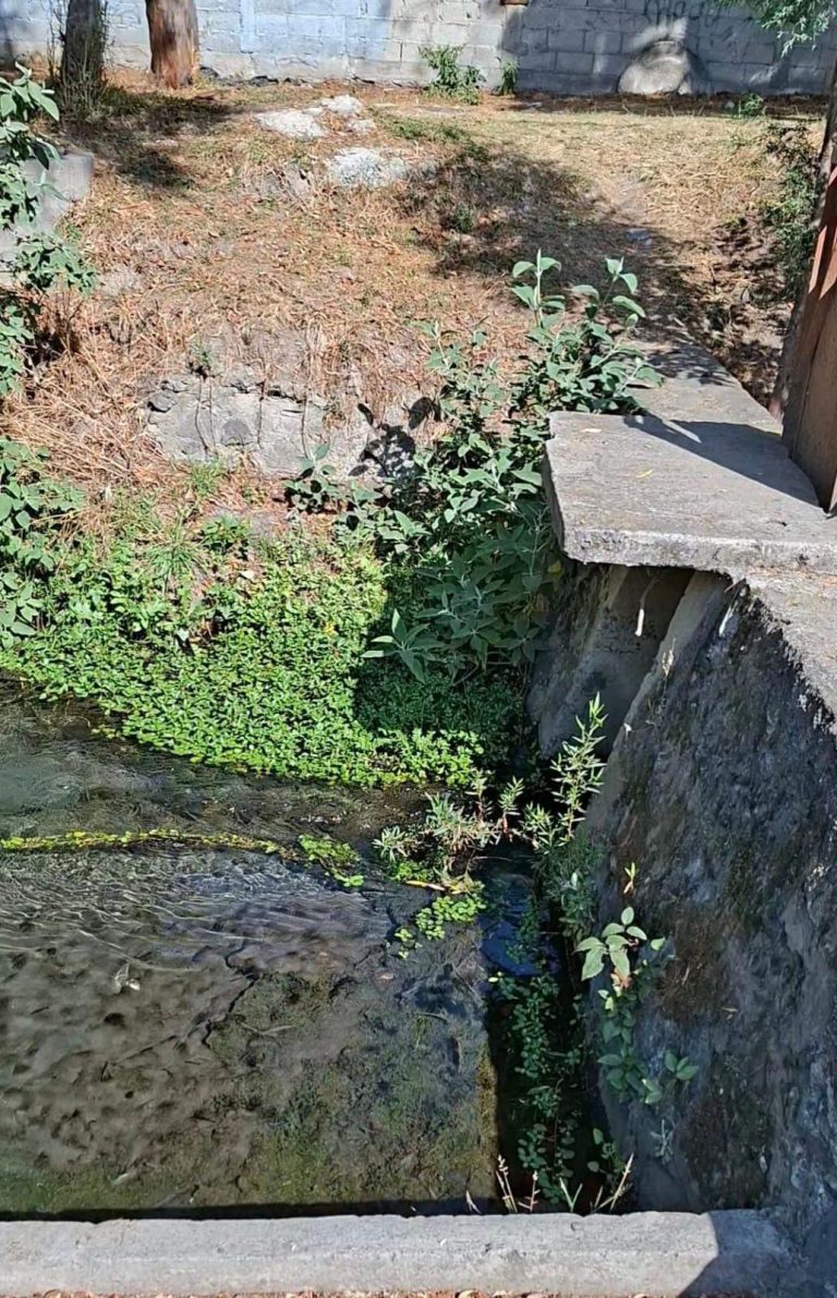 Vista de un pequeño canal de agua con vegetación y muro de concreto en un entorno exterior, en Tlaxcala, México.