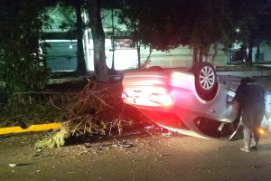 Un coche volcado sobre la calle, con daños visibles y luces traseras encendidas, cerca de árboles y un poste de luz en un área urbana durante la noche.