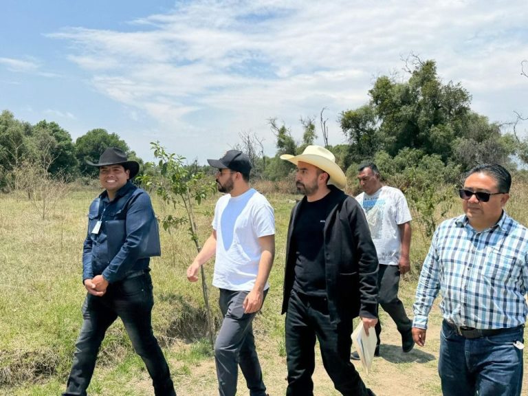 Grupo de personas caminando en campo abierto con árboles y cielo despejado, en un día soleado.