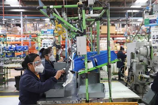 Cinta transportadora en una fábrica, con operarios supervisando y controlando el proceso de producción en un entorno industrial.