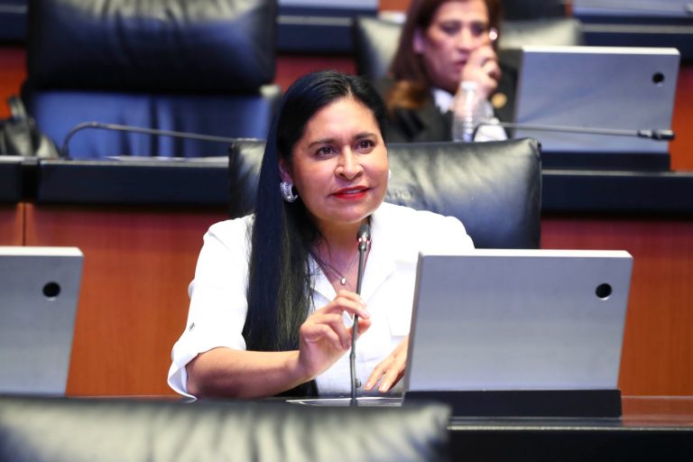 La mujer en la imagen participa en una sesión legislativa, sentada frente a un micrófono y una laptop, con otras personas en el fondo en un entorno formal y oficial.