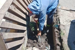 Trabajador excavando en una zanja junto a una rejilla de drenaje en la calle, realizando trabajos de mantenimiento o reparación en la infraestructura urbana.
