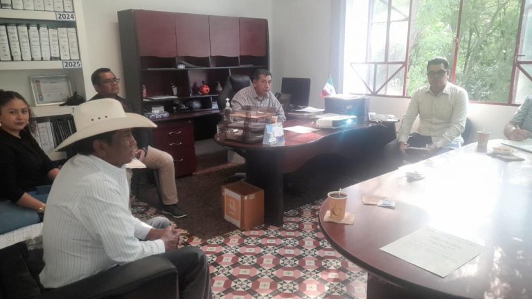 Persona en reunión de trabajo en oficina moderna con grandes ventanas y muebles de madera.