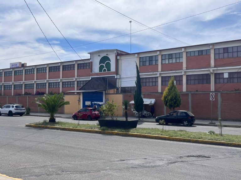 Árboles y plantas en la acera frente a un edificio de varios pisos en una calle de Tlaxcala, México, con vehículos estacionados y cables eléctricos en el cielo.