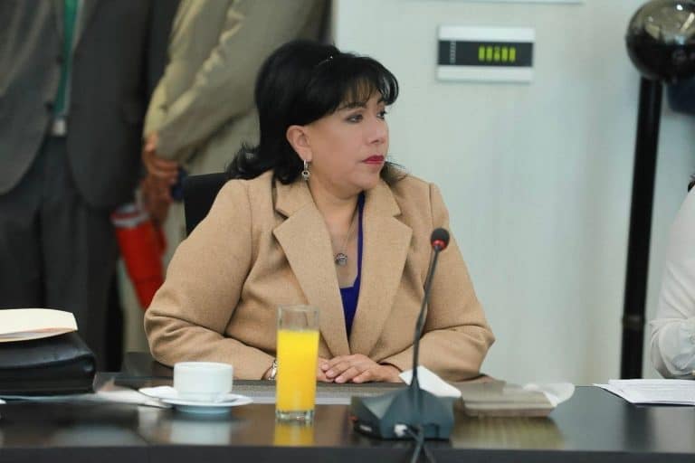 Mujer en reunión formal en una mesa de oficina, con bebida y documentos, participando en una discusión o presentación.