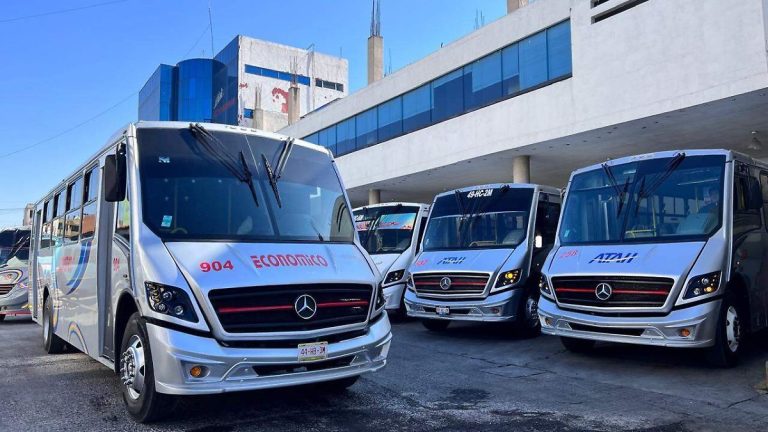 Autobuses Mercedes-Benz de transporte público estacionados en una terminal urbana en un día soleado.