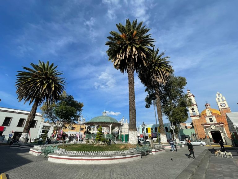 Árboles de palma en una plaza pública de Tlaxcala, México, con edificios históricos y una iglesia en el fondo, bajo un cielo despejado y soleado.