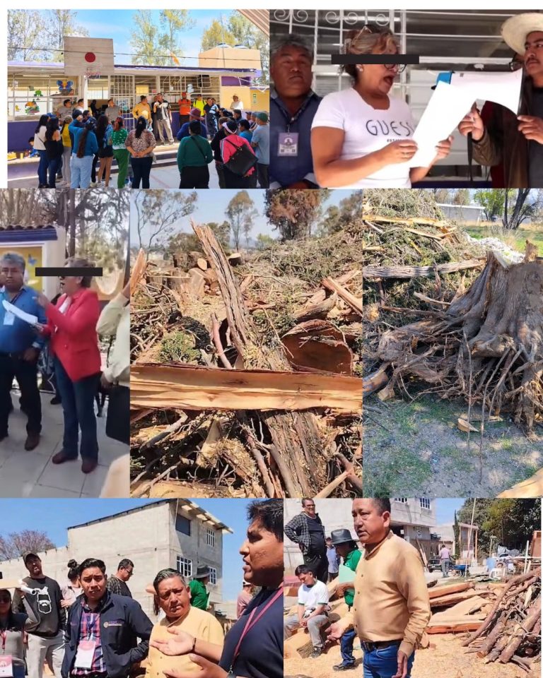 Personas reunidas en una fila en un área escolar, con algunos portando mochilas y otros en espera, en un día soleado en Tlaxcala, México.