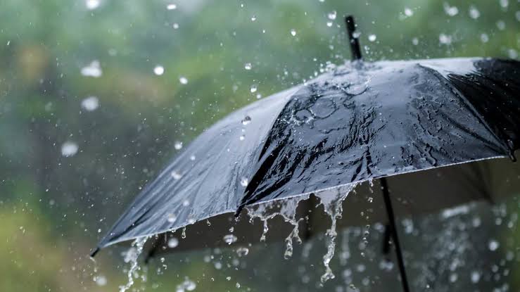 Paraguas negro bajo lluvia intensa en un día lluvioso en exteriores.